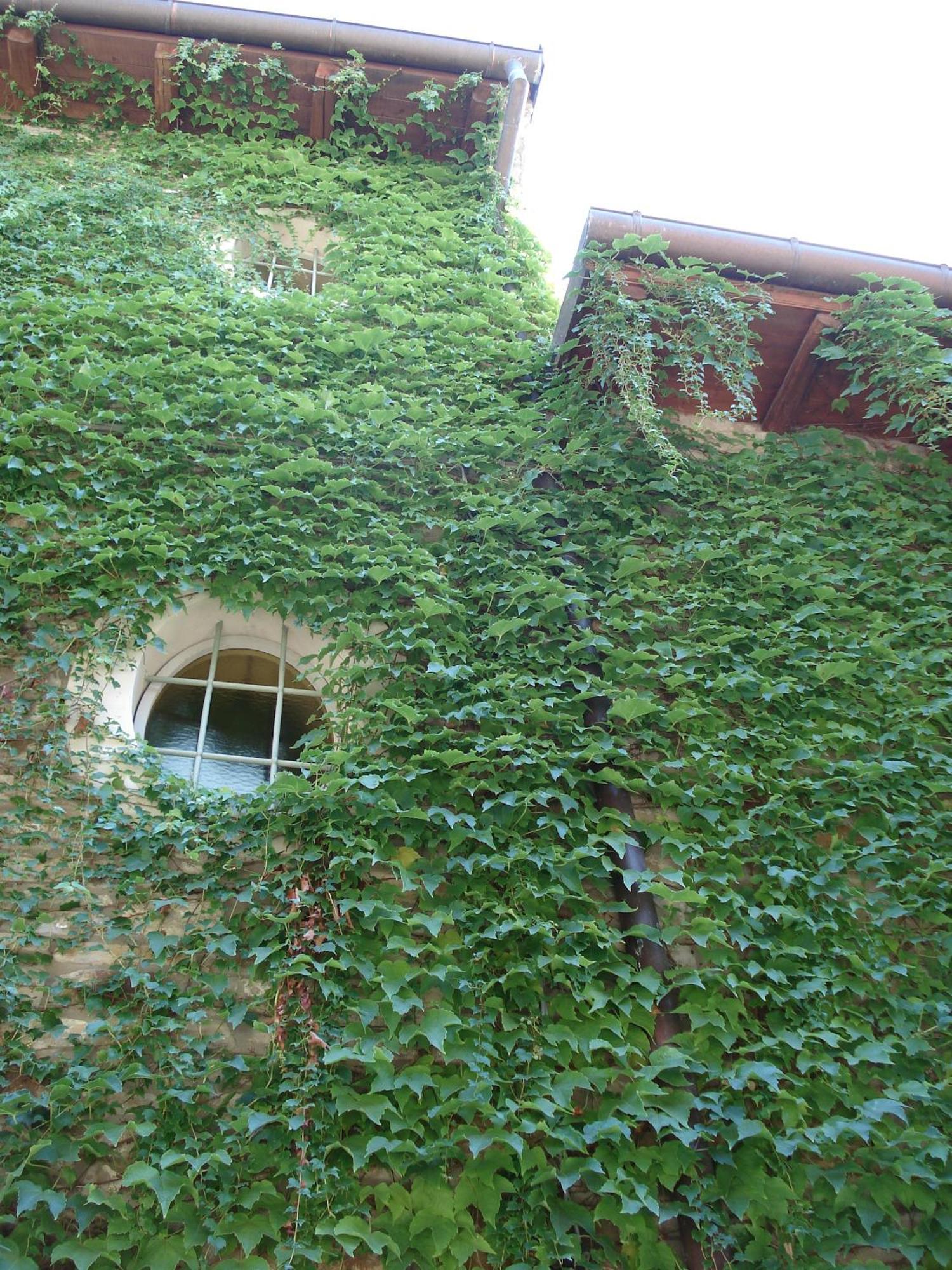Savigno Locanda Amerigo מראה חיצוני תמונה